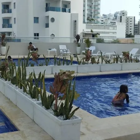 Apartamento Estudio Tipo Loft Amoblado En Bocagrande 801a *